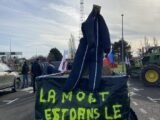 Agriculteurs en colère : manifestation surprise à Nice dans les Alpes-Maritimes
