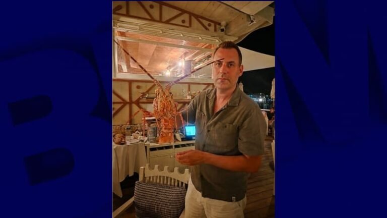 « Un choc immédiat »: un défenseur des animaux achète une langouste 300 euros dans un restaurant et la relâche vivante