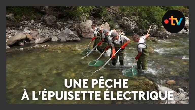 Une pêche à l’épuisette électrique pour le recensement de la faune des cours d’eau des Hautes-Alpes