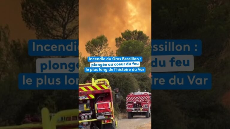 Incendie du Gros Bessillon : plongée au cœur du feu le plus long de l’histoire du Var