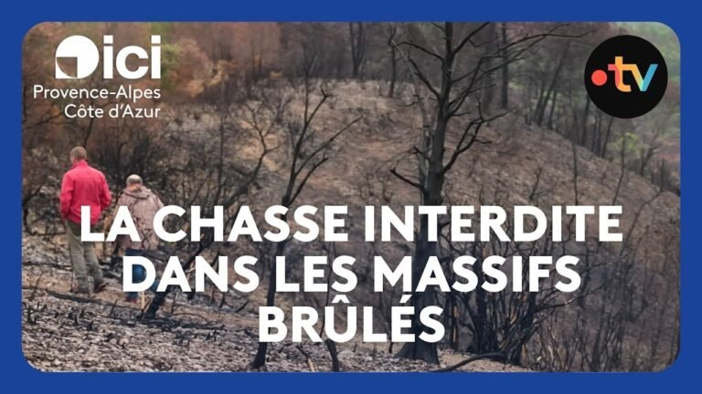 La chasse interdite dans les massifs brûlés par les incendies de cet été