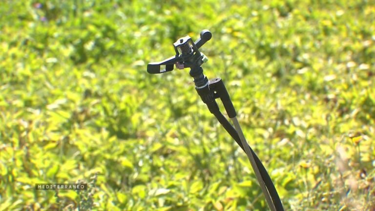 La gestion de l’eau en Méditerranée est un défi majeur exemple de la région de Cagliari en Sardaigne