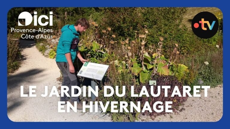 Le jardin du Lautaret se prépare à l’hiver qui arrive