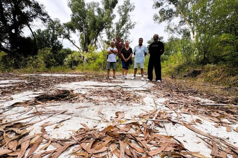 « Nous vivions en retrait complet, isolés au milieu des bois sans personne sur qui compter » : ces enfants de harkis racontent leur difficile jeunesse dans l’ancien « camp » de Valbonne