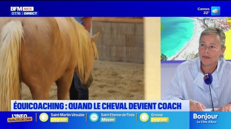 Équi-coaching : quand le cheval agit comme un miroir de nos émotions