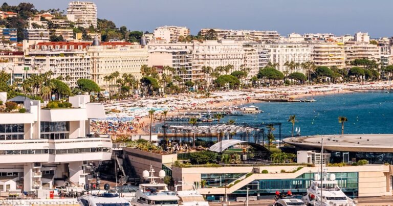 Que faire à Mouans-Sartoux, Cagnes sur Mer, St Martin Vésubie ou Cannes (entre autres) du 19 au 25 octobre 2026 ?